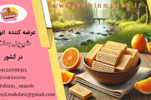 انواع ویفرها