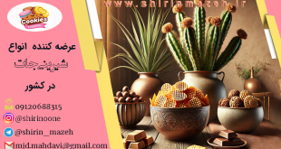 خرید اینترنتی بیسکویت