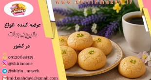 انواع شیرینی نارگیلی
