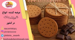 خرید بیسکویت دایجستیو