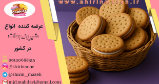 خرید کارتنی بیسکویت ساقه طلایی