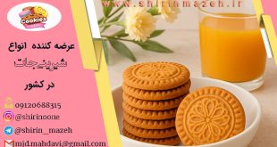بیسکوییت سکه ای