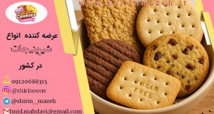 خرید بیسکویت رژیمی