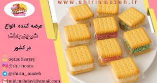 باسلوق بیسکویتی